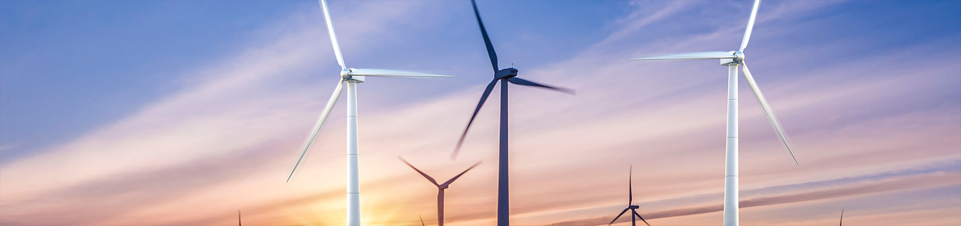 一定发(中国游)官方网站